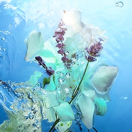 Calm Bliss - Eau de Parfum
